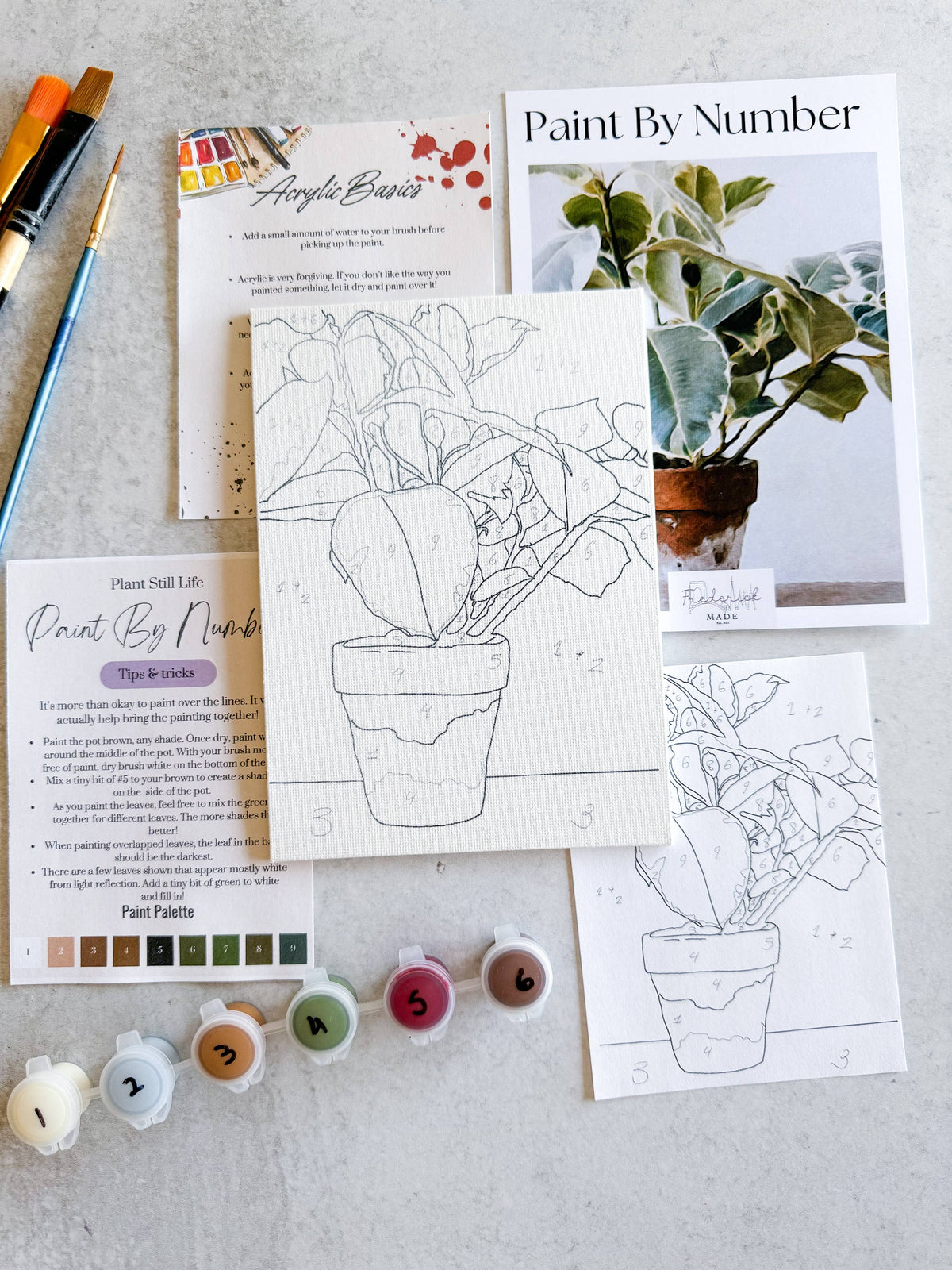 Plant Still Life Mini Paint By Number