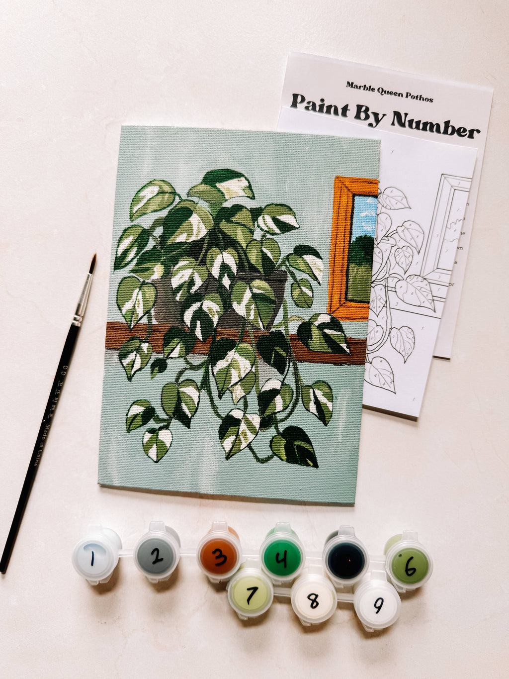 Marble Queen Pothos Mini Paint By Number