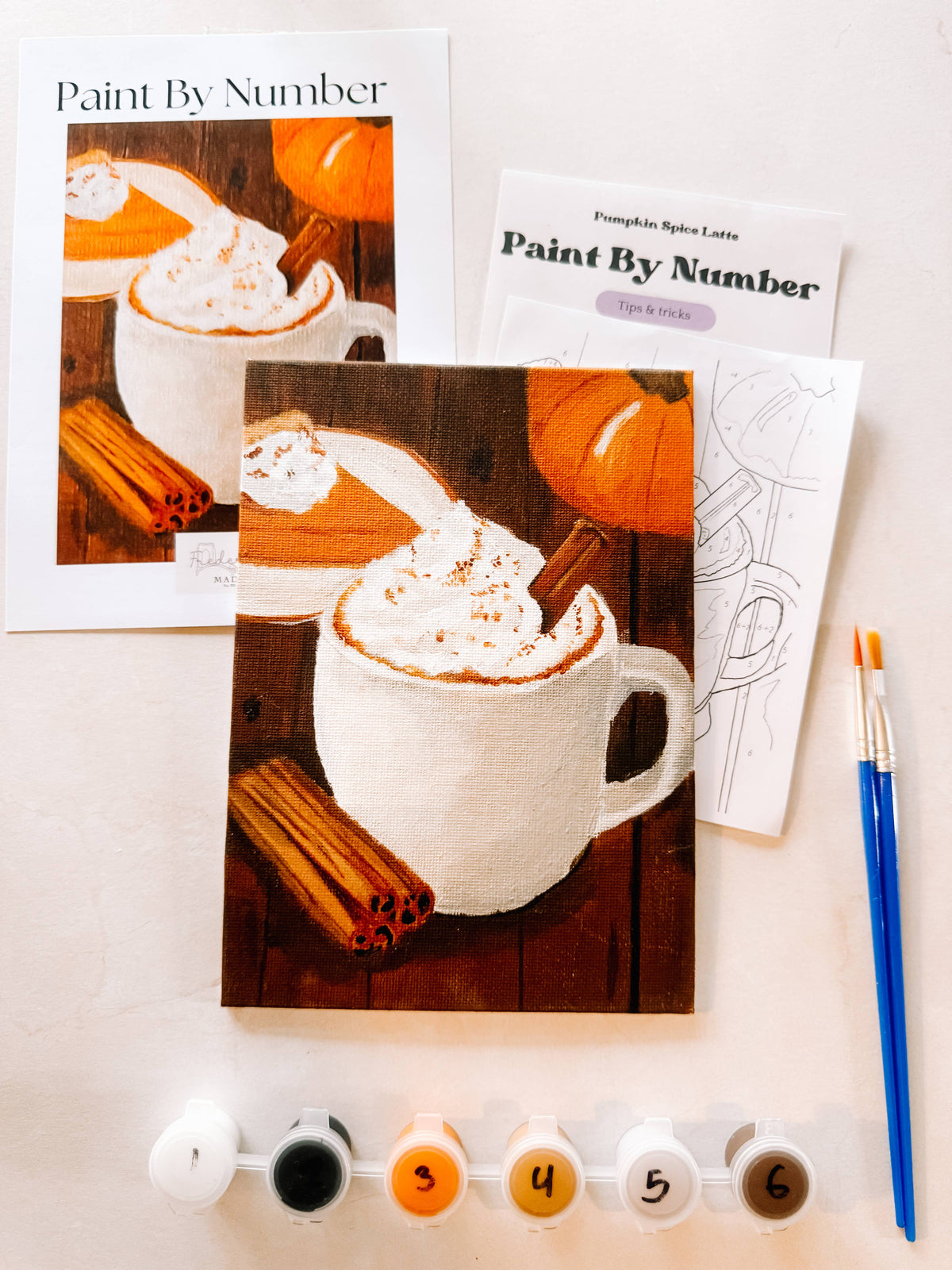 Pumpkin Spice Latte Mini Paint By Number