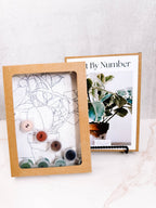Plant Still Life Mini Paint By Number