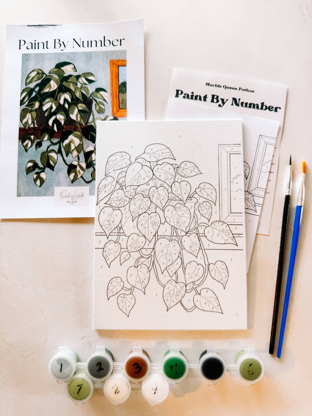 Marble Queen Pothos Mini Paint By Number