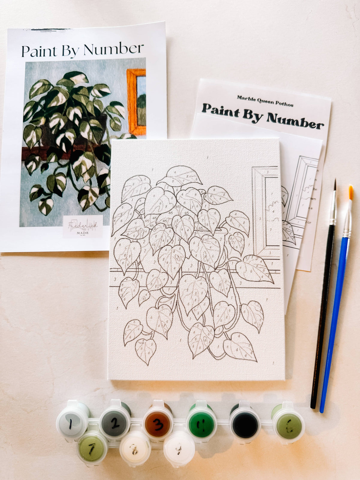 Marble Queen Pothos Mini Paint By Number