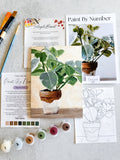 Plant Still Life Mini Paint By Number