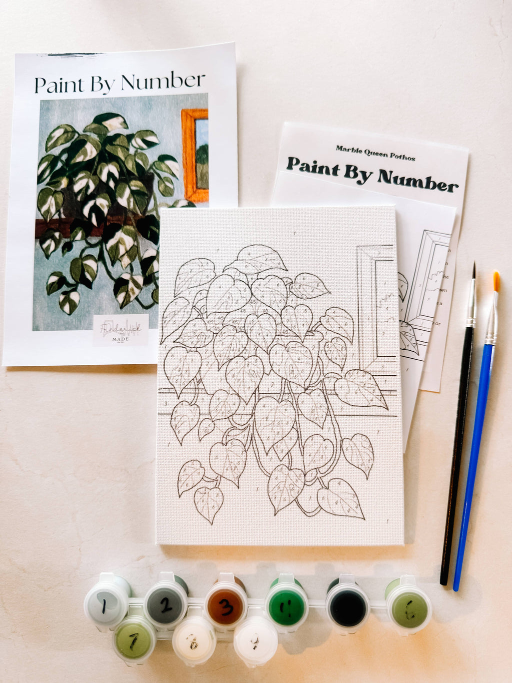 Marble Queen Pothos Mini Paint By Number